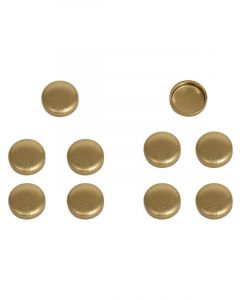 Pioneer Brass Expansion Plugs 10pk 1.000 OD .281 Depth 