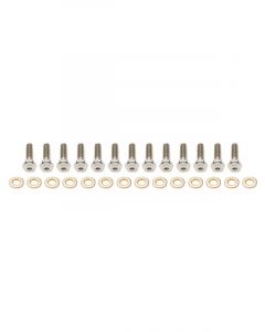 Keizer 10in Beadlock Bolt Kit Titanium