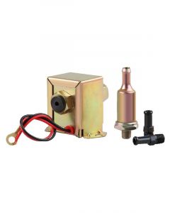 AFI A/M Pump 4.5-6 Psi 12V Solid State 1/8 Female Filter IS-FPA201