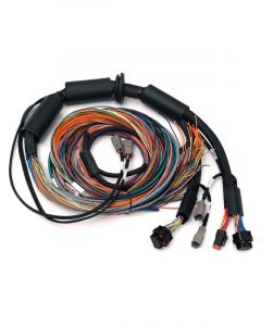 Haltech Nexus R3 Universal Wire-in Harness 2.5M