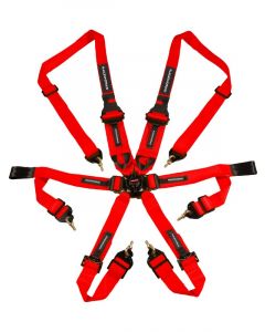 Raceworks Red 6Point Fia Cam Lock Harness Hans 2-3In Belts Snap