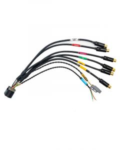 Fueltech FT700 Multimedia M Harness