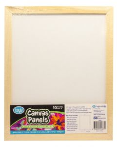 Boyle Canvas Panel 8x10 (20x25cm) with Display Frame 10pack