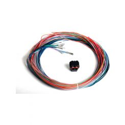Holley Wiring Harness, J2B ECU, EFI Dominator, Holley, Kit