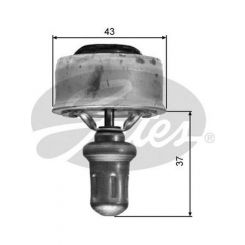 Gates Thermostat
