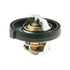 Gates Thermostat + Gaskets & Seals
