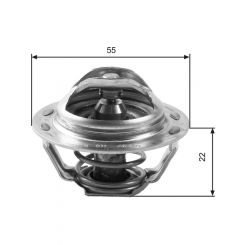 Gates Thermostat + Gaskets & Seals