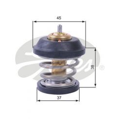 Gates Thermostat + Gaskets & Seals