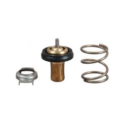 Gates Thermostat + Gaskets & Seals