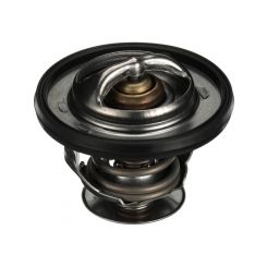 Gates Thermostat