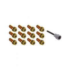 Spectre Header Bolts w/ Tool