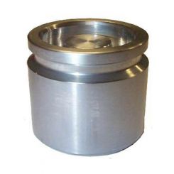 Protex Caliper Piston