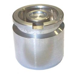 Protex Caliper Piston