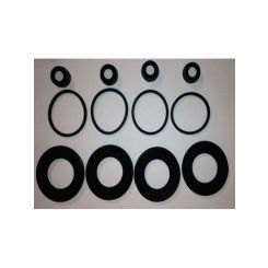 Protex Disc Caliper Repair Kit