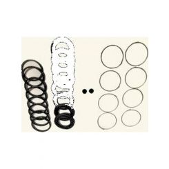 Protex Disc Caliper Repair Kit