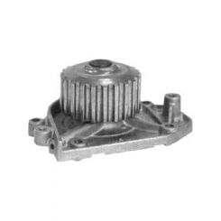 Protex Water Pump