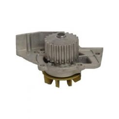 Protex Water Pump