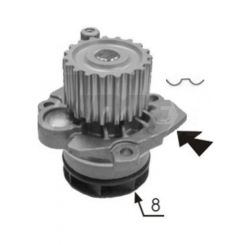 Protex Water Pump