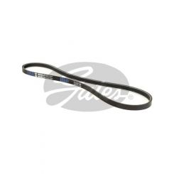 Gates Stretch Fit Micro-V Ribbed Belt (3PK977SF)