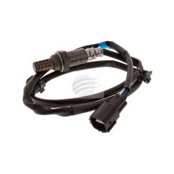 Denso Oxygen Sensor