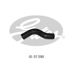 Gates Radiator Hose Upper