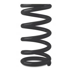 Afco Racing Products Coil Spring Coil-Over 2.625 in ID 10.000 in Lengt
