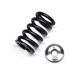 Brian Crower Spring / Retainer Kit Evo 10 Single Spring &Titanium Retai
