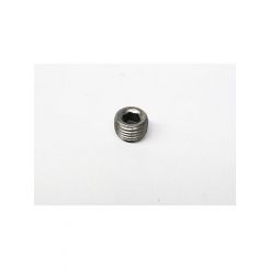 Pioneer Pipe Plug 1/4" Npt W/Allen Key Socket