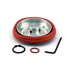 Turbosmart Gen4 Wastegate WG50/60 Diaphragm + O-Ring Replacement