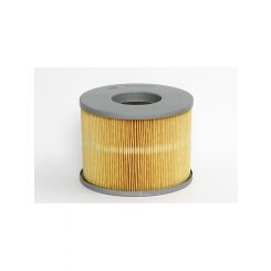 Fram Air Filter