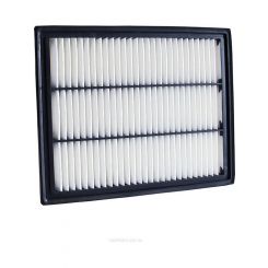 Ryco Air Filter