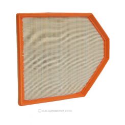 Ryco Air Filter
