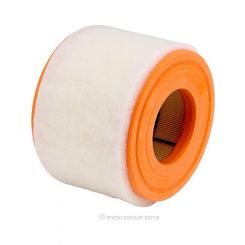 Ryco Air Filter