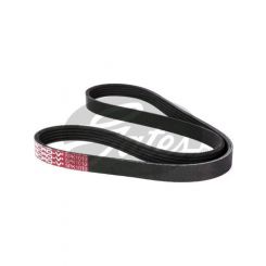 Gates Micro-V Ribbed Belt (5PK1010)
