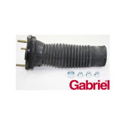 Gabriel Strut Mount