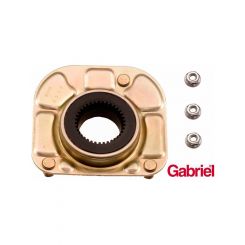 Gabriel Strut Mount