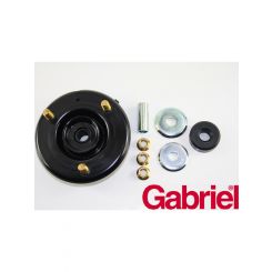 Gabriel Strut Mount