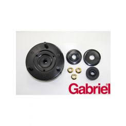 Gabriel Strut Mount