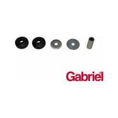 Gabriel Strut Mount