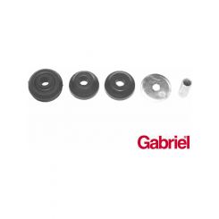 Gabriel Strut Mount