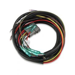 MSD Wiring Harness Replacement Harness For 62152/62153 Ign.