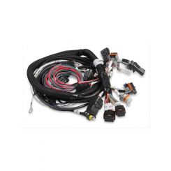 Holley Gen III Hemi Main Harness, Late, W/TPS & IAC Connections