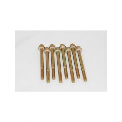 Advanced Engine Design Fuel Bowl Screws 2-1/2 in Long Hex Head Gaskets S