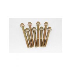 Advanced Engine Design Fuel Bowl Screws 1-7/8 and 2-1/2 in Long Hex Head