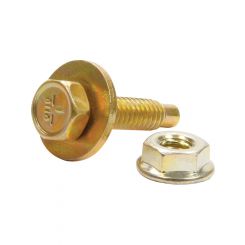 Allstar Performance Body Bolt Kit 1/4-20 in Thread 1-1/8 in Long