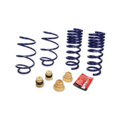 Ford Suspension Spring Kit 1 in Lowering 4 Coil Springs Blue Powder