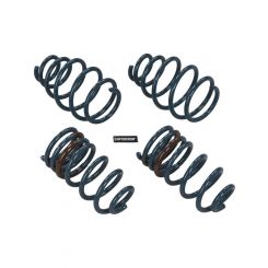 Hotchkis Performance Suspension Spring Kit 1 in Lowering 4 Coil Springs