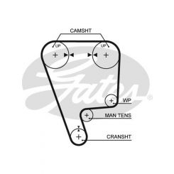 Gates PowerGrip Timing Belt