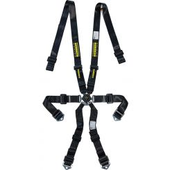 Schroth Racing Harness Profi 2x2 6 Point Camlock FIA Approved