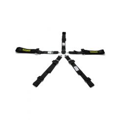 Schroth Racing Harness Profi 2x2 5 Point Camlock FIA Approved